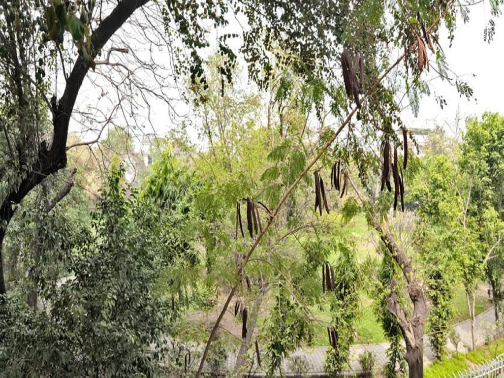 Haveli Hauz Khas Bed & Breakfast นิวเดลี ห้อง รูปภาพ