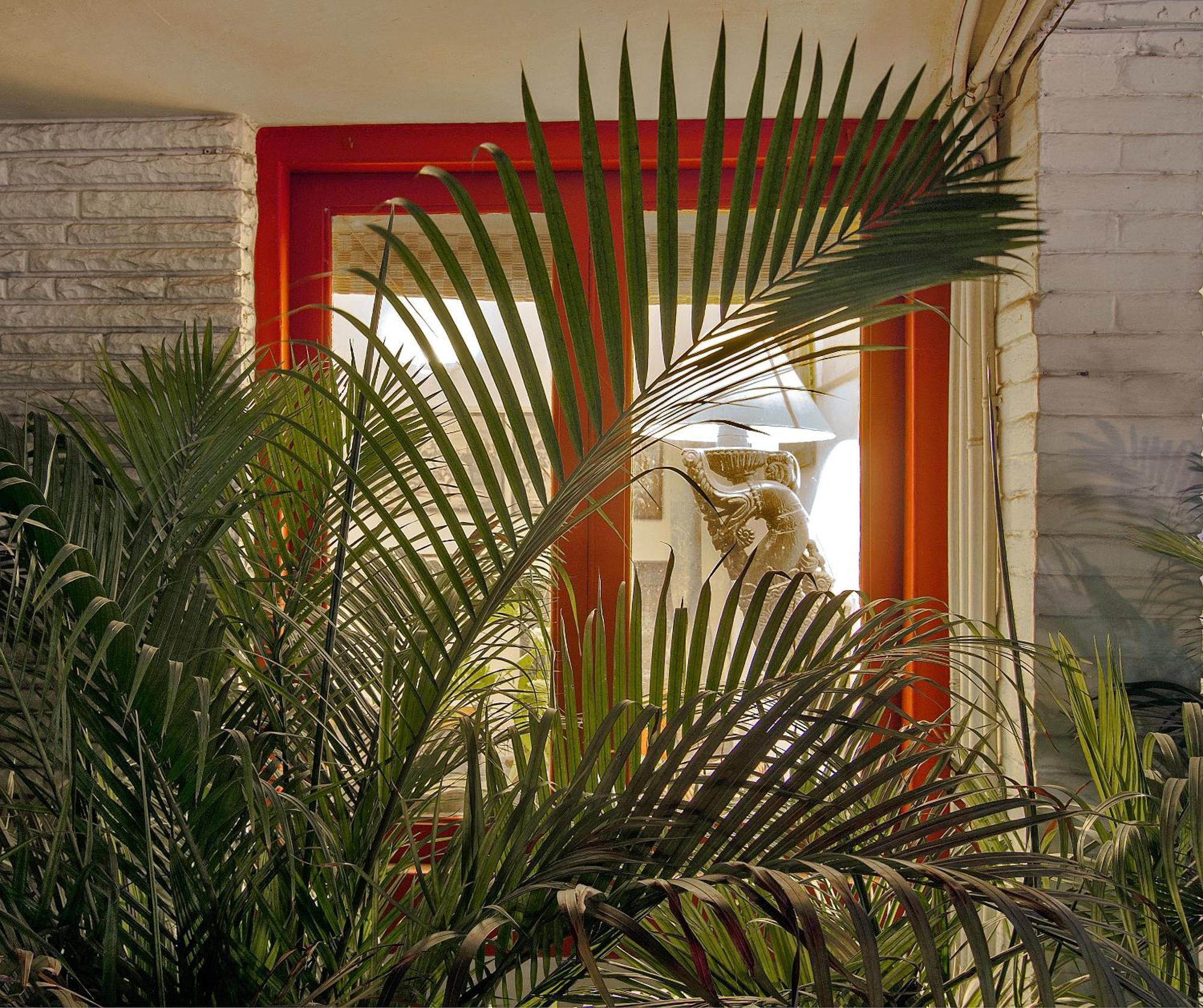 Haveli Hauz Khas Bed & Breakfast นิวเดลี ภายนอก รูปภาพ