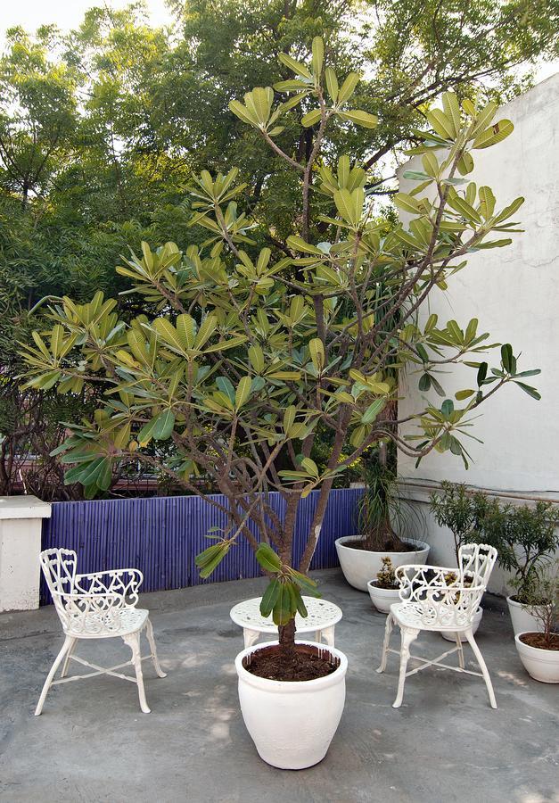 Haveli Hauz Khas Bed & Breakfast นิวเดลี ภายนอก รูปภาพ